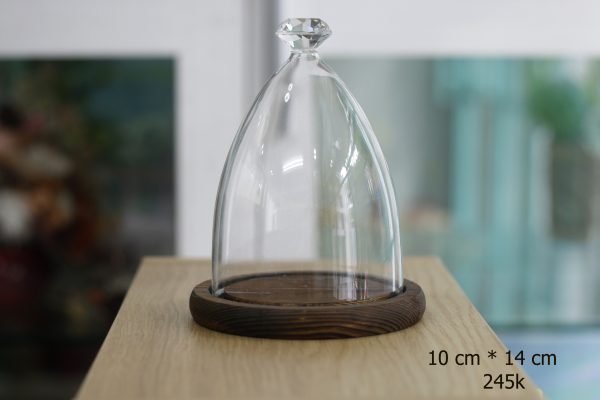 Nắp chụp thủy tinh đế gỗ Bell Diamond 10x14 cm