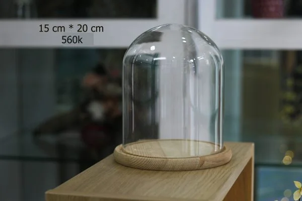 Nắp chụp thủy tinh đế gỗ Dom 15x20 cm