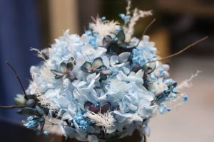 ý nghĩa hoa cẩm tú cầu