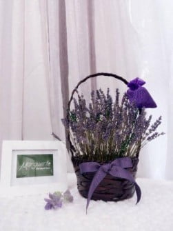 Giỏ hoa lavender khô 01