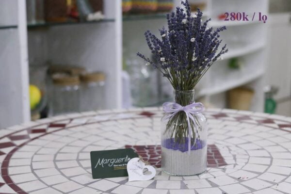 Lo hoa lavender 01
