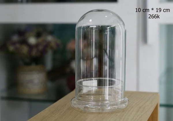 Bộ chụp thủy tinh nhập khẩu, đường kính 10cm ,cao 19cm