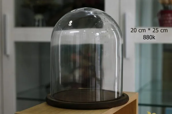 Nắp chụp thủy tinh đế gỗ Dom 20x25 cm