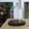 Nắp chụp thủy tinh đế gỗ Dom Bell 9x13 cm