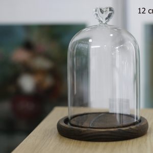 Nắp chụp thủy tinh đế gỗ Dom Heart 12x20 cm