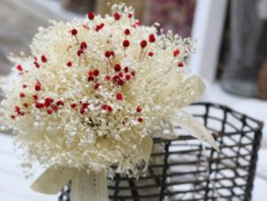 ý nghĩa Hoa baby trắng