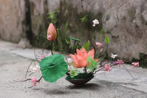 hoa khô chưng tết