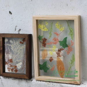 Tranh Hoa Ép Được Làm Từ Hoa Khô