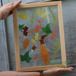 Tranh Hoa Ép Được Làm Từ Hoa Khô