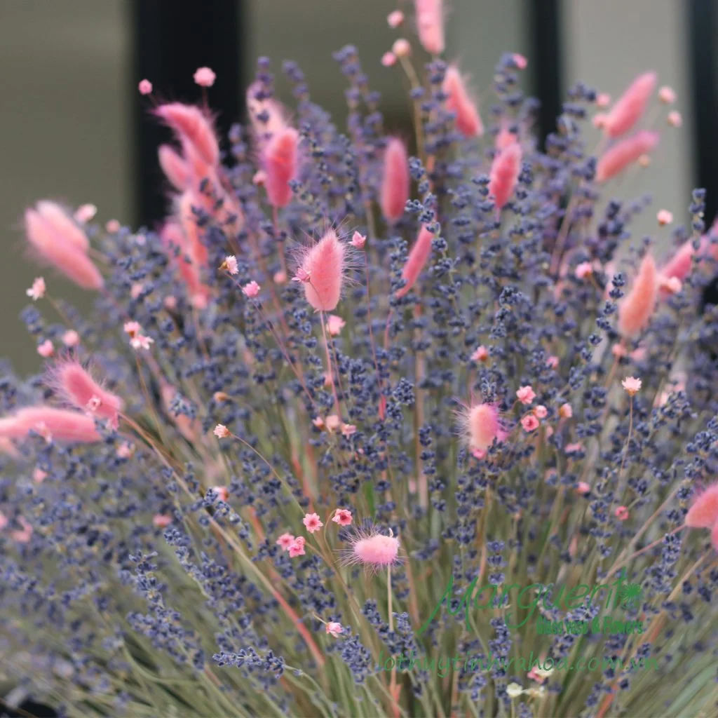 Tác phẩm Hương Nồng từ Hoa Lavender Khô Pháp